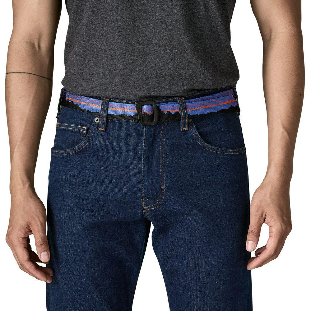 Friction Web Belt